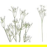  CVIJEĆE GIPSOFILA DVOBOJNA PVC Cijene