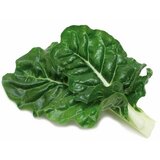  BLITVA VEZA KOMAD | ePonuda.com