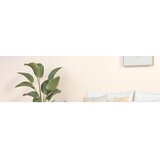 vidaXL Klubska mizica črna 80x80x36,5 cm inženirski les Cene
