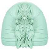 Ander Kids's Hat 1401 | Shoptok.si