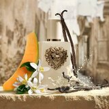 Dolce & Gabbana Your Devotion Eau de Parfum Intense parfumska voda intense za ženske 100 ml | Shoptok.si