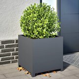 vidaXL Vrtno korito antracit 50x50x50 cm jeklo Cene