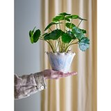 Bloomingville Okrasni cvetlični lonec iz kamenine ø 14 cm Bertha – | Shoptok.si