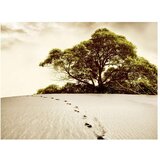  Tapeta - Tree in the desert 250x193 | shoptok.hr
