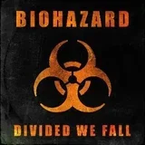Divided We Fall
