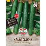  Solatne kumare "Gergana" | Shoptok.si