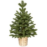  Novogodisnja jelka u saksiji zelena 90cm 250311 Cene