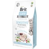 Brit Care Cat Grain-Free Insect Food Allergy Management - Varčno pakiranje: 2 x 7 kg Cene
