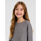 Sinsay Majica dugih rukava s okruglim izrezom | shoptok.hr