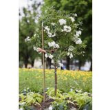 Windhager OPORNA PALICA OPORA JEKLENA PLAST. BAMBUS 11 X 120 CM Cene