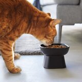 YAMAZAKI Keramična posoda za hrano za hišne ljubljenčke Tower – | Shoptok.si