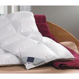 Billerbeck celoletna odeja almira mono 135/200 cm | Shoptok.si