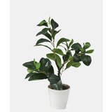 Sinsay Ukrasna umjetna biljka | shoptok.hr