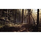Deep Silver Blair Witch (PS4) | Shoptok.si