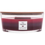 WoodWick trilogy Sun Ripened Berries mirisna svijeća 453,6 g cijene