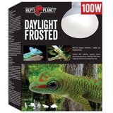 Repti Planet grelna žarnica Daylight Frosted - 100 W Cene