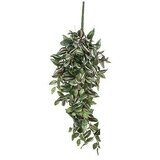  Cvet tradescantia 80cm 953284 - green - edl | ePonuda.com