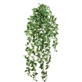 Floraworld Veštački viseći žbun Fitonija Cene
