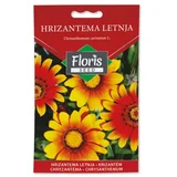 seme cveće-hrizantema letnja 1g FL