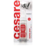Mr & Mrs Fragrance Cesare Peppermint osvežilec zraka za v avto 50 ml Cene