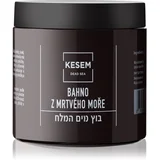 Dead Sea Mud blato z minerali Mrtvega morja 600 g