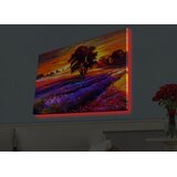 Wallity Zidna slika sa LED osvetljenjem 4570HDACT-038, 45x70 cm | Eponuda.ba