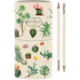 Grupo Erik Editores S. L. Kokonote Botanical - Bojice - Kokonote Botanical, Cacti | Eponuda.com
