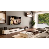 Hisense soundbar AX3100G | Shoptok.si