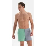 Dagi Swim Shorts - Green - Color block