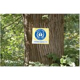 Blok samoljepljiv 75x75mm 12x100L Nature Global Notes 5654-11box žuti | shoptok.hr
