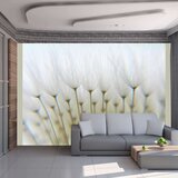  Tapeta - Dandelion forest 350x270 Cijene
