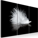  Slika - A small feather 60x40 Cijene