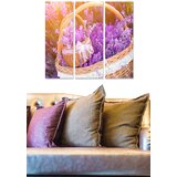 Wallity Set slika MDF259154981, 3 dijela | Eponuda.ba