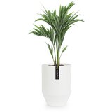 Fox &amp; Fern almere lonac Polystone Idealan za biljke, ručni rad, okrugli cijene