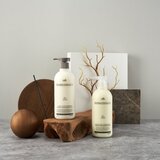 LADOR Moisture Balancing vlažilni šampon za suhe in poškodovane lase 530 ml | Shoptok.si