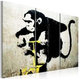 Slika - Monkey TNT Detonator by Banksy 120x80 | shoptok.hr