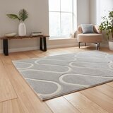 Catherine Lansfield Siva preproga 120x170 cm Linear Curve – | Shoptok.si