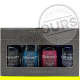  GINfinity Selection 4x0,2L | ePonuda.com