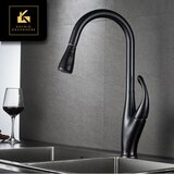 Kranig Kraanwerk Kuhinja | Dizajn Mešalna pipa | Izvlecite cev | Labod, (21730792) Cene