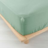 Douceur d intérieur Svijetlo zelena plahta s gumom od muslina 160x200 cm Angelia – Cijene