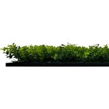 MID.YOU AKUSTIČNI PANEL Modular Wall System Design Flora 52/52/4 cm | Shoptok.si