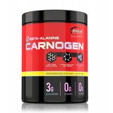 Genius Nutrition beta alanin karogen - 300gr Cene