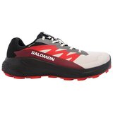 Salomon Tek & Trail Alphaglide Gtx pisana Cene