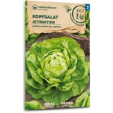 Samen Maier Bio glavnata solata "Attraktion" Cene