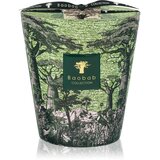 Baobab Collection Sacred Trees Touba mirisna svijeća 1100 g Cijene