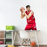 nalepnica.rs boban marjanović