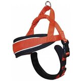 Croci am swedish xs narandzasti 38-48cm | Eponuda.com