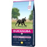 Eukanuba Puppy Large Breed piščanec - 15 kg | shoptok.hr