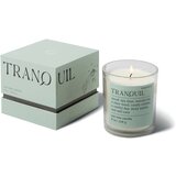 Paddywax Mood Tranquil Lush Palms dišeča sveča 226 g | Shoptok.si