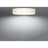  Stropna svetilka SKALA 60 bela, (21348184) | Shoptok.si